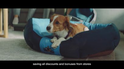 MIR payment system thumbnail